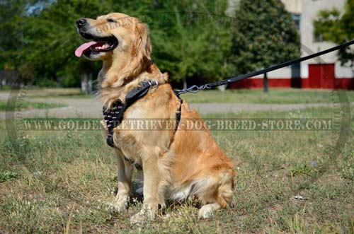 Handmade Spiked Leather Harness
