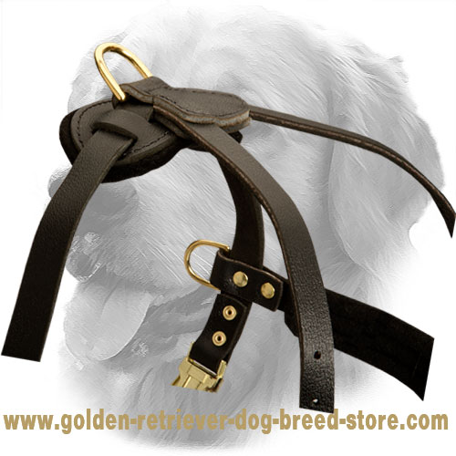 Tracking Pulling Leather Dog Harness For Golden Retriever H5 1046 Tracking Pulling Harness Golden Retriever harness Golden Retriever muzzle Golden Retriever collar dog leash Dog leashes