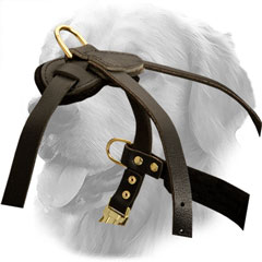 Golden Retriever Harness for Pulling