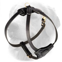 Harness with Solid Brass Fittings