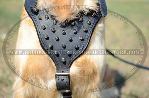 Leather Harness for Stylish Dogs