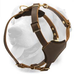 Extra Strong Durable Harness for Puppies
