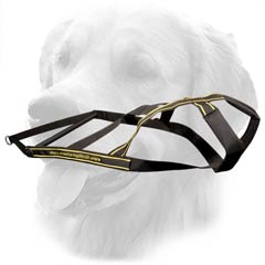 Durable Nylon Harness for Weight Pulling