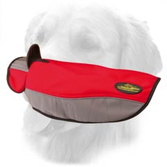 Golden Retriever Coat with Perfect Air Circulation