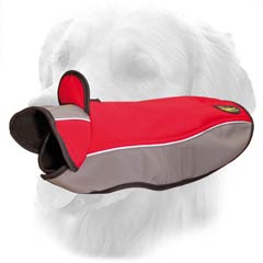 Golden Retriever Coat Resistant to Water