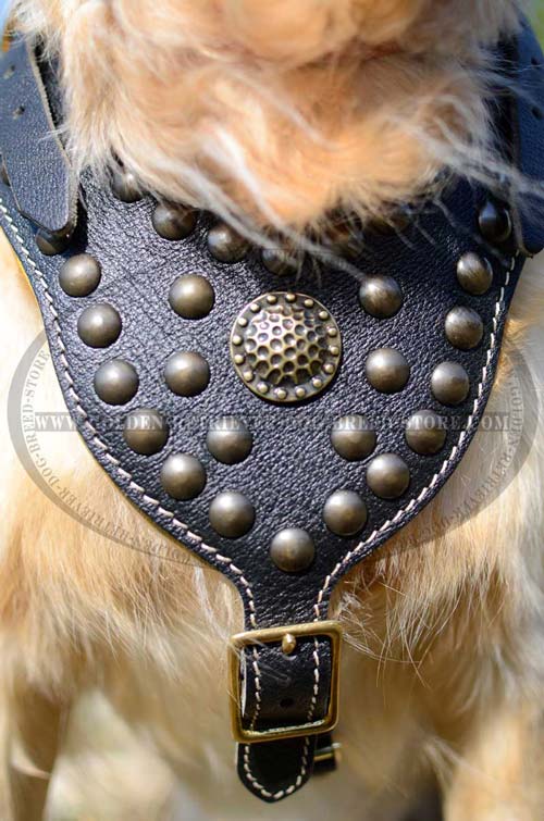 Leather Harness for Stylish Dogs