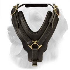 Comfortable Leather Harness for Agitation Training