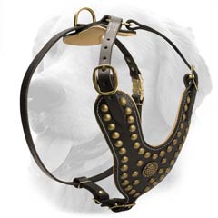 Stylish Leather Harness for Sporty Dogs