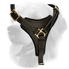 Leather Harness for Sport Activities
