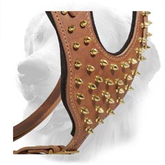 Stylish Leather Harness for Sporty Dogs