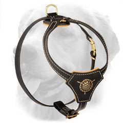 Decorated Leather Harness for Puppies