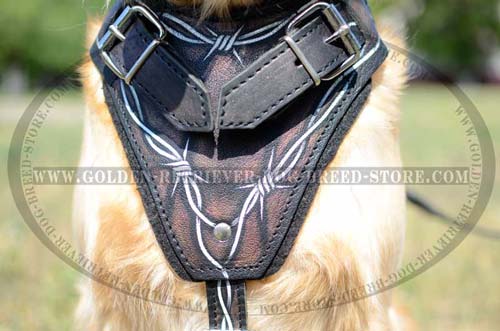 Comfortable Harness for Walking in Style