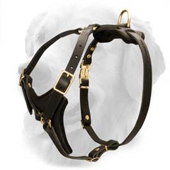 Golden Retriever Harness for Sporty Dogs