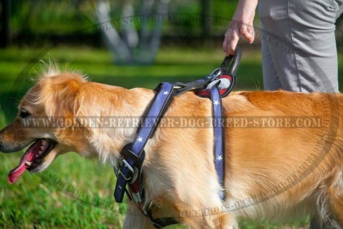 Handmade Leather Harness for Stylish Dogs