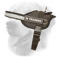 Nylon Harness for Active Dogs