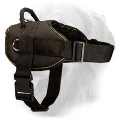 Golden Retriever Nylon Harness for Pulling