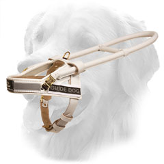 Comfy Design Golden Retriever Harness for Daily Assistance