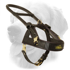 Golden Retriever Harness for Assiatance