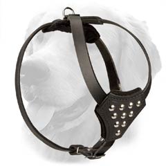 Leather Golden Retriever Harness for Puppies