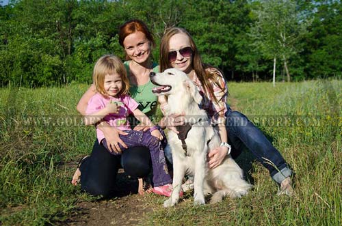 Leather Golden Retriever Harness for Different Activities