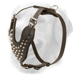 Golden Retriever Harness Padded