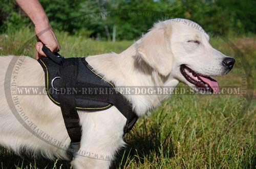 Nylon Golden Retriever Harness with Easy Control Handle
