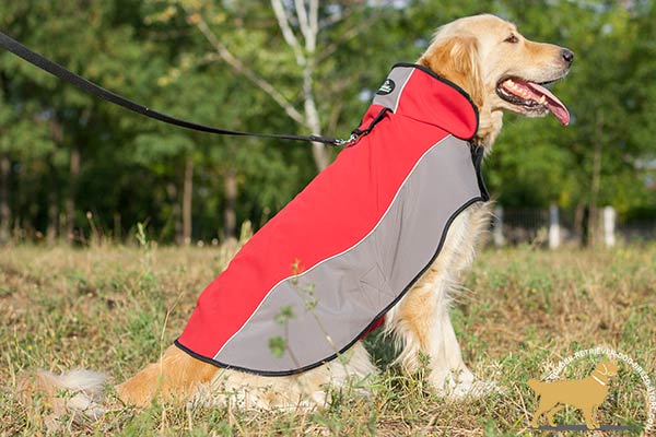 Nylon Golden Retriever Harness of Innovative Design
