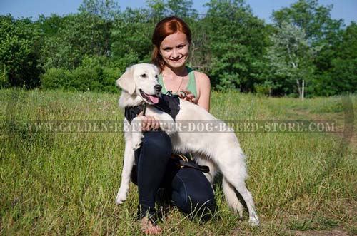 Nylon Golden Retriever Harness for Walking