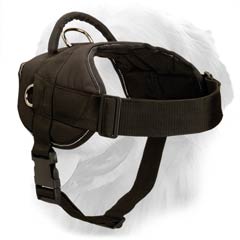 Nylon Harness for Sporty Dogs