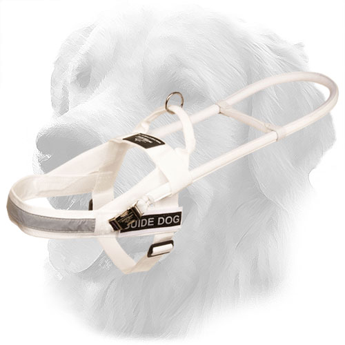 White Waterproof Golden Retriever  Harness