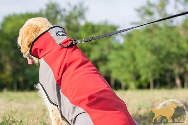 Golden Retriever nylon harness water-resistant fabric for safe walking