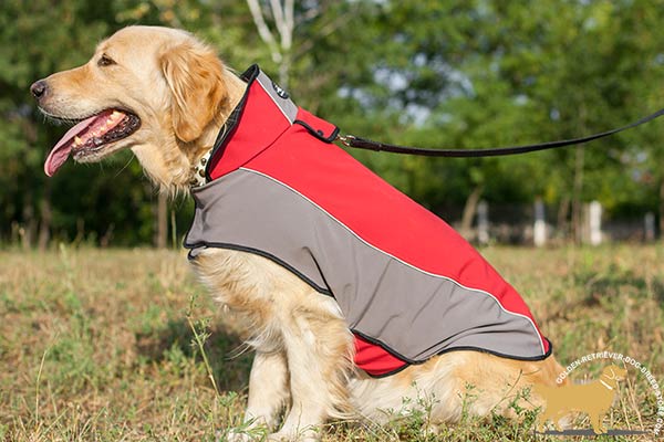 Golden Retriever nylon harness adjustable  with Velcro for better comfort