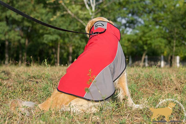 Golden Retriever nylon harness water-resistant with Velcro for daily walks