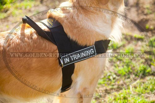 Identification Patches on Nylon Dog Harness