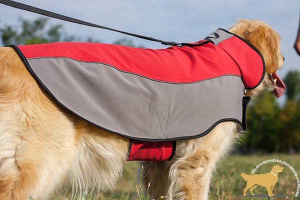 Comfortable Golden Retriever Harness with Hole for Leash Attachment