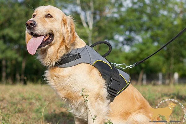 All Weather  Nylon Golden Retriever Harness 