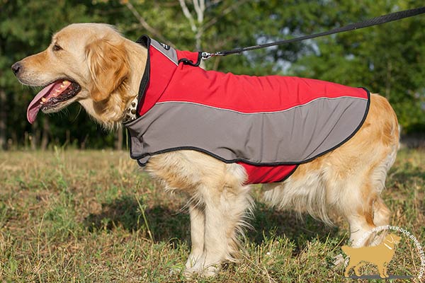 Warm Nylon Golden Retriever Harness for Winter Walking
