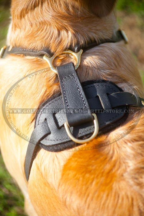 Brass Hardware on Leather Dog Harness
