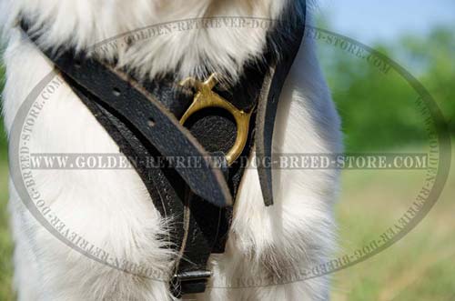 Felt Thick Padding on Leather Dog Harness