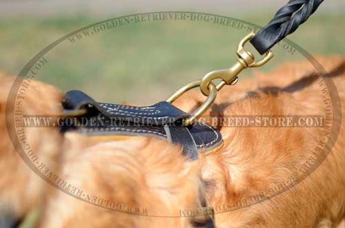 Brass D-Ring on Leather Dog Harness