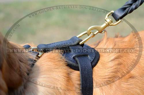 Brass D-Ring on Leather Dog Harness