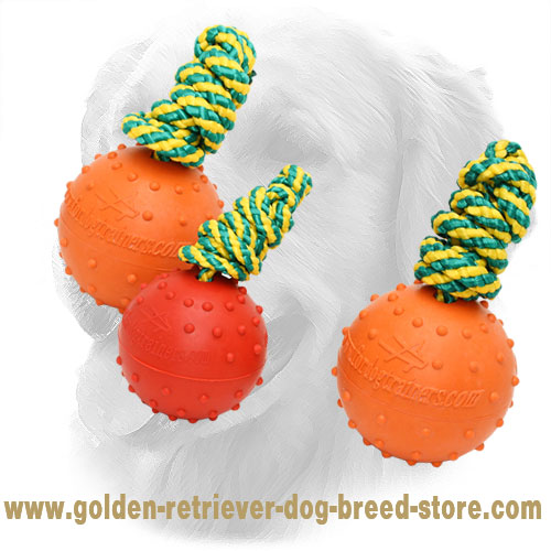 Rubber Golden Retriever Ball for Water Activities