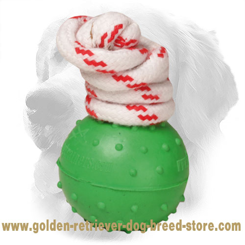 Waterproof Rubber Dotted Golden Retriever Ball