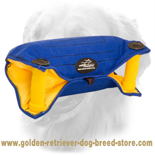 French Linen Golden Retriever Bite Builder for Basic Puppy Training