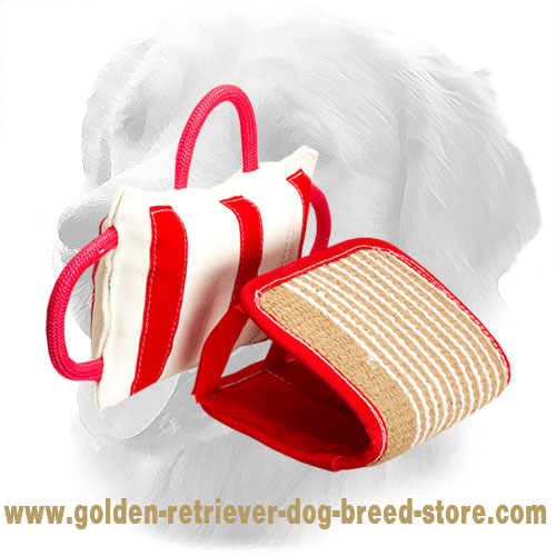 Golden Retriever Bite Pillow with Removable Jute Cover