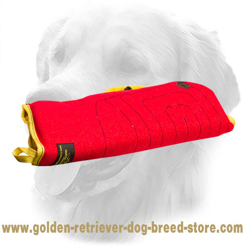 Ambidextrous French Linen Golden Retriever Bite Sleeve