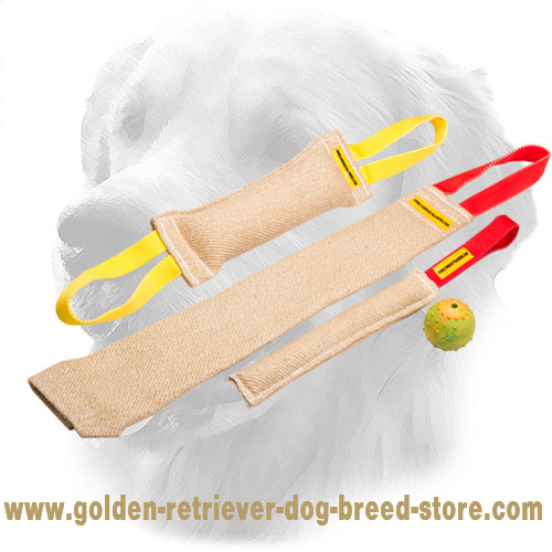 Jute Golden Retriever Bite Training Set of (4 Dog Items)