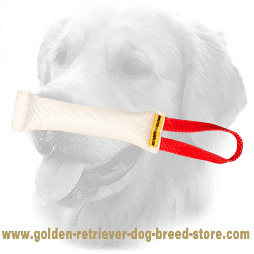 Puppy Fire Hose Golden Retriever Bite Tug with Strong Handle