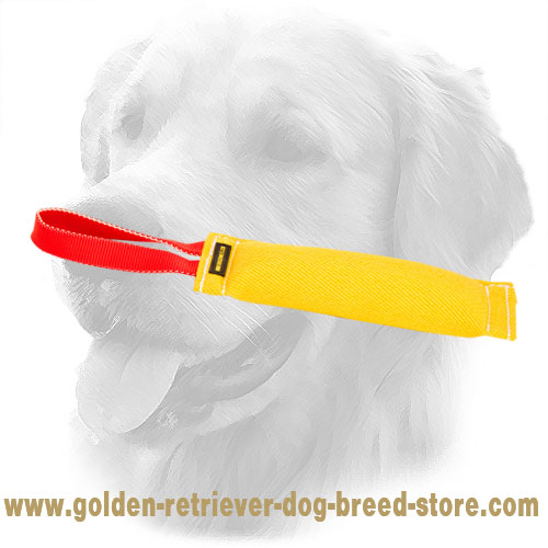 French Linen Golden Retriever Bite Tug for Training