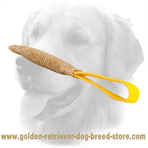 Jute Golden Retriever Bite Tug with Handle
